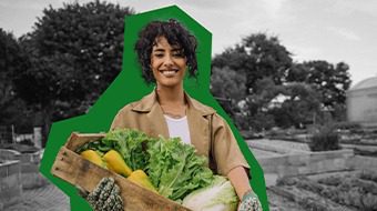 Acumulado de Municípios que Aderiram ao Sistema Nacional de Segurança Alimentar (SISAN)